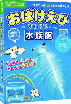 Peces y mascotas acuáticas – Decoración de peceras