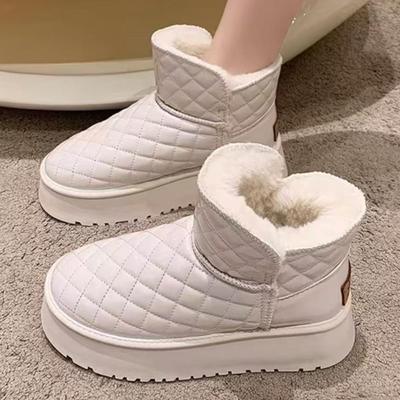 Autumn and Winter Plush Snow Boots for Women
