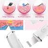 Ultrasound Skin Care Scrubber Pore Deep Cleansing Facial Face Ultrasonic Lifting Tool