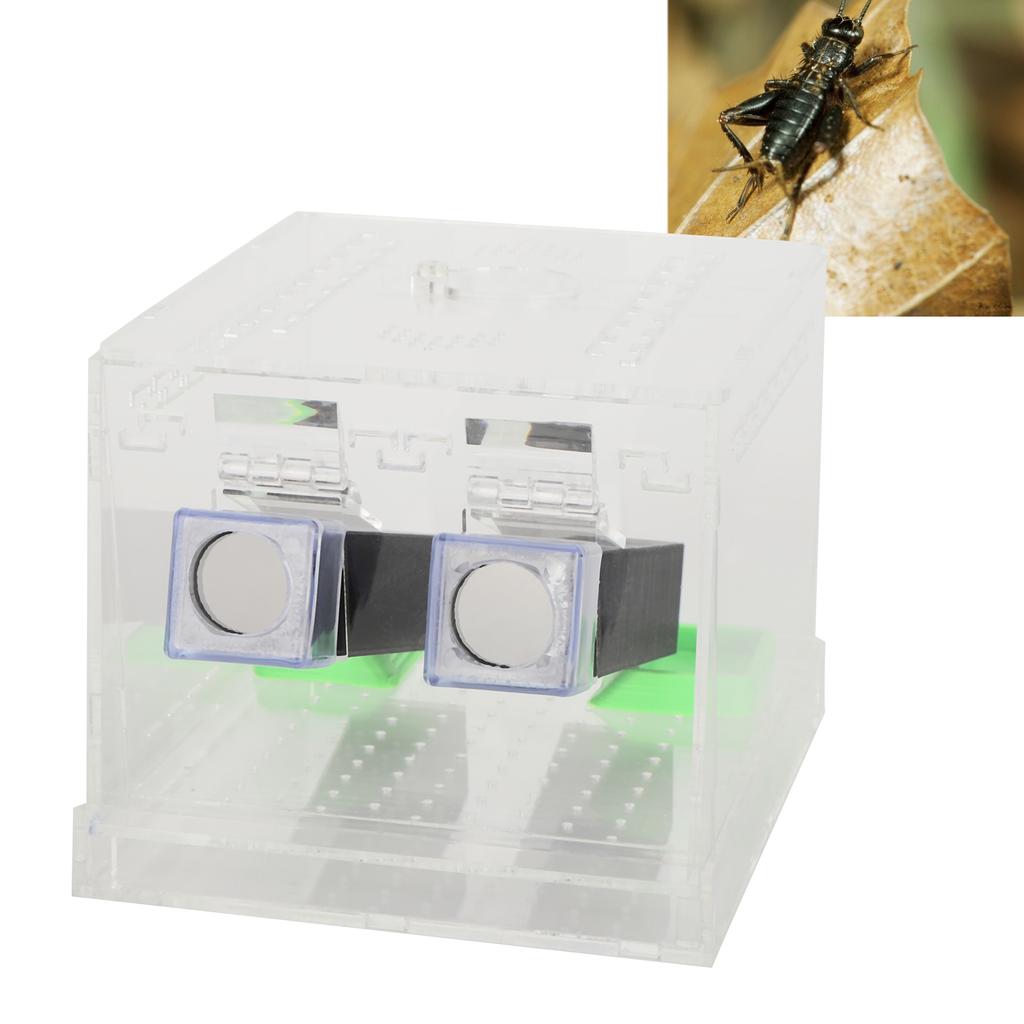 Acrylic Feeding Cricket Pen with Tubes Insect Cockroach Care Kit Reptile Box