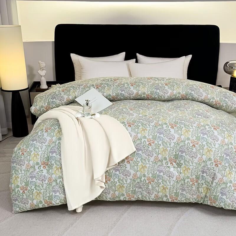 PAUI DAVID Starry Sleep Brushed Quilt