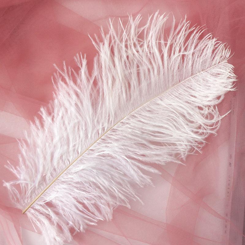 Color 20-25Cm Ostrich Hair Vase Ornament Wall Feather Decoration Hand Bouquet Flower Arrangement Diy Material