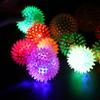 Luminous Flashing Elastic Massage Ball with Thorns - Pet Toy and Night Time Fun