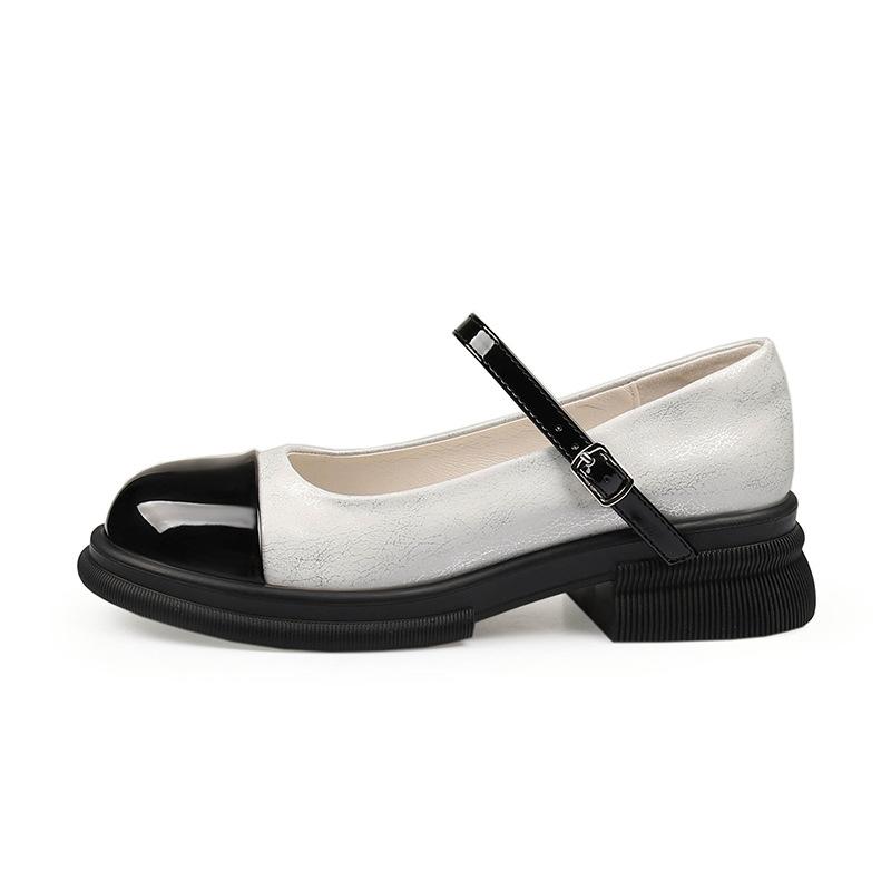 Fashion Mary Jane Shoes Single Shoes Spring and Summer New Thick Sole Simple Women's Shoes Leather French Everything