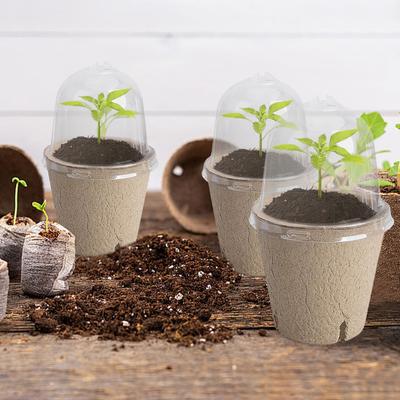 10Pcs Seedling Cup Seed Starter Transparent Lid Greenhouse Breeding Box Biodegradable Plant Growing Cup Versatile for Gardening