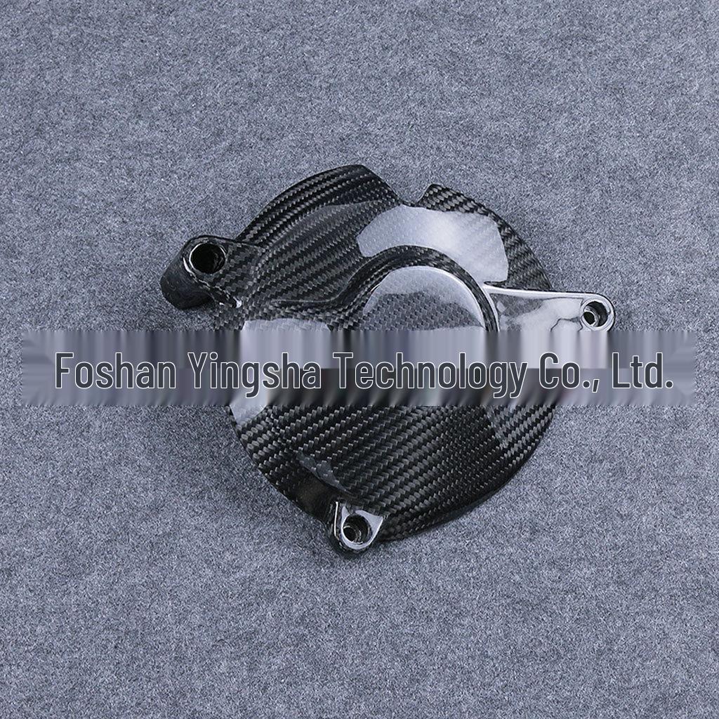 2015-2018 BMW S1000RR Carbon Fiber Engine Cover