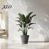 Sun Proof Anti Aging Plant Containers Round Large Planter with Drainage Hole, 12 Inch Dia Stone-Look Flower Thickened Durable Pots for Office
