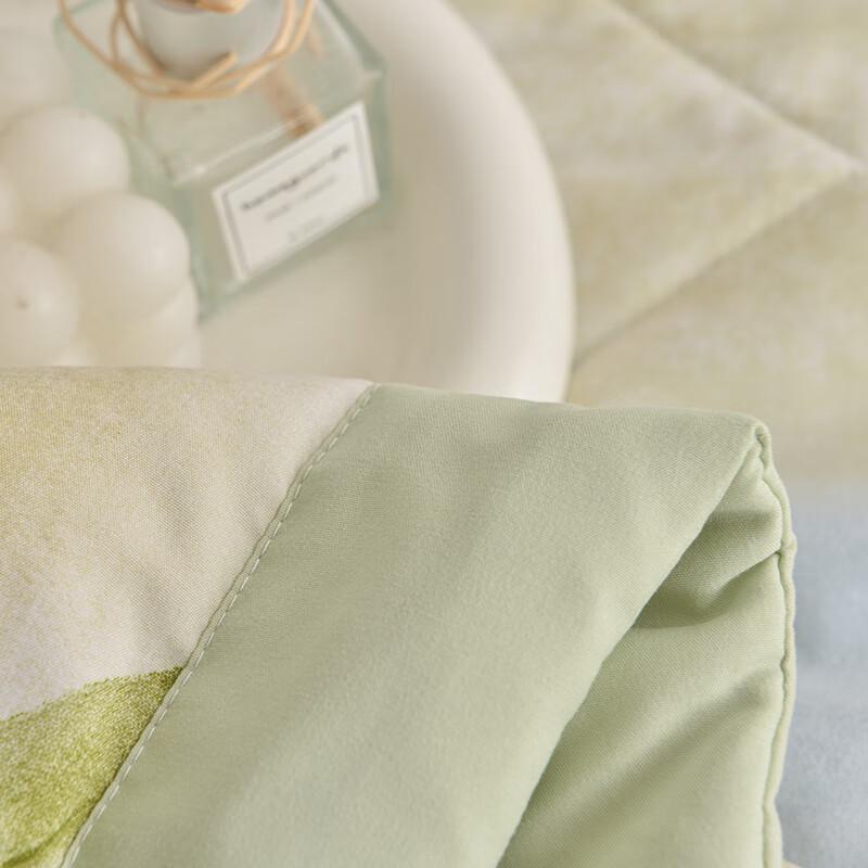 Soft & Comfortable Summer Polyester Quilt