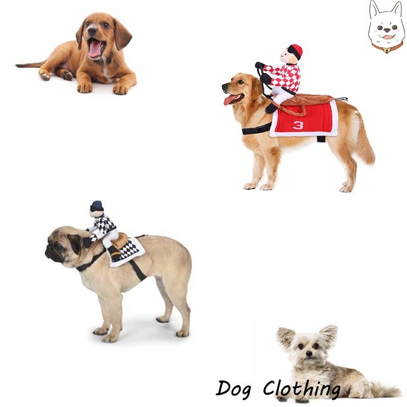 Factory Direct Horse Riding Costume For Pets Cosplay Knight Costume For Dogs