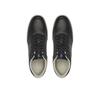 Мужские кроссовки Calvin Klein Low top lace up logo hm0hm01653 чёрные