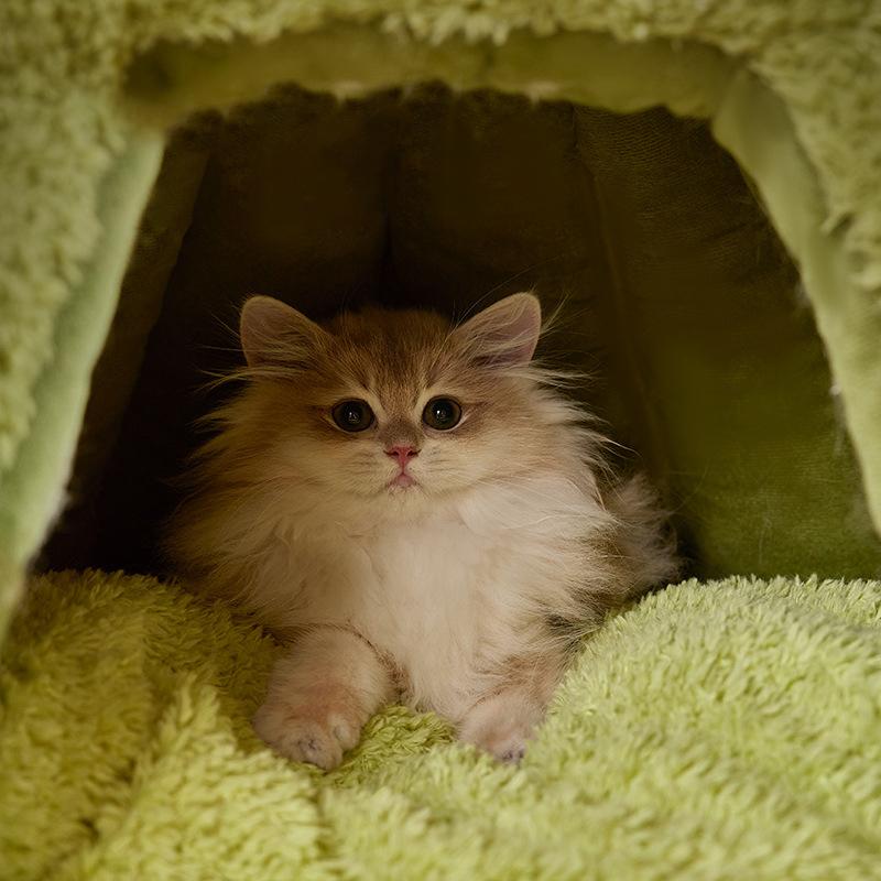 Winter Katzenbett für Halloween Warme Häuser Zubehör Betten Kissen Haustierzubehör Hundematte Waren Alles Korb Dinge Monsterhaus