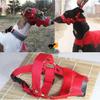LIVE Mouth Dog Muzzle Adjusting Pet Dog Mouth Cover Nylon Dogs Muzzle Basket Anti-biting Dog Mask For Gree Greyhound Whippet