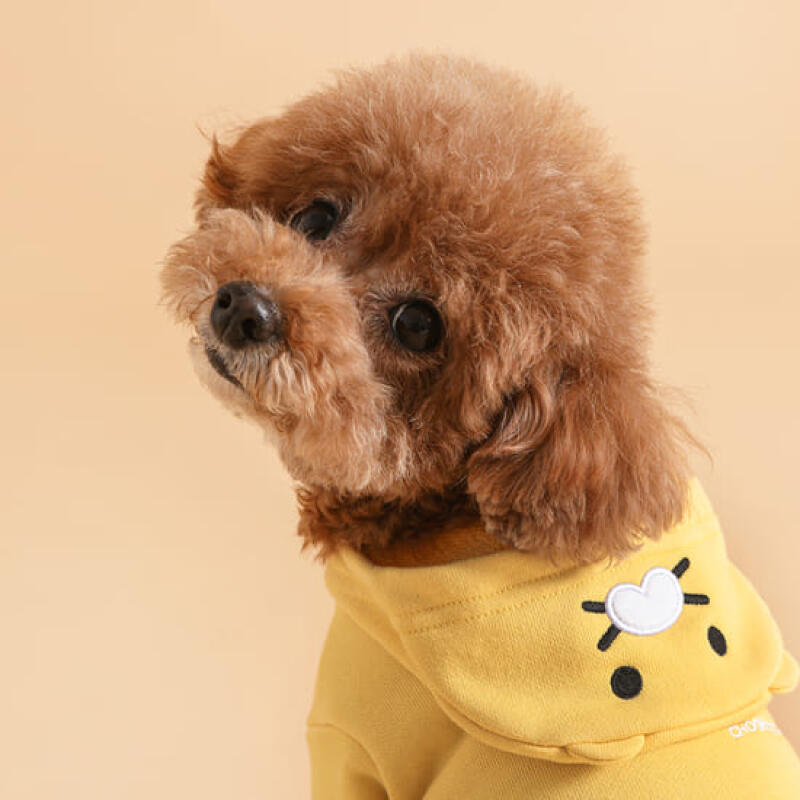 Pet CS Hooded T-shirt L