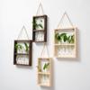 Wall Hanging Glass Planter Propagate Station Wall Hanging Glass Planter with Wooden Stand