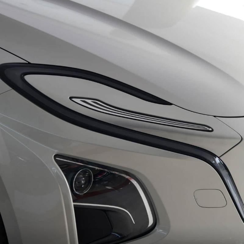 **Hongqi E-QM5 (21-24) Daytime Running Light Clear Cover Lampshade**