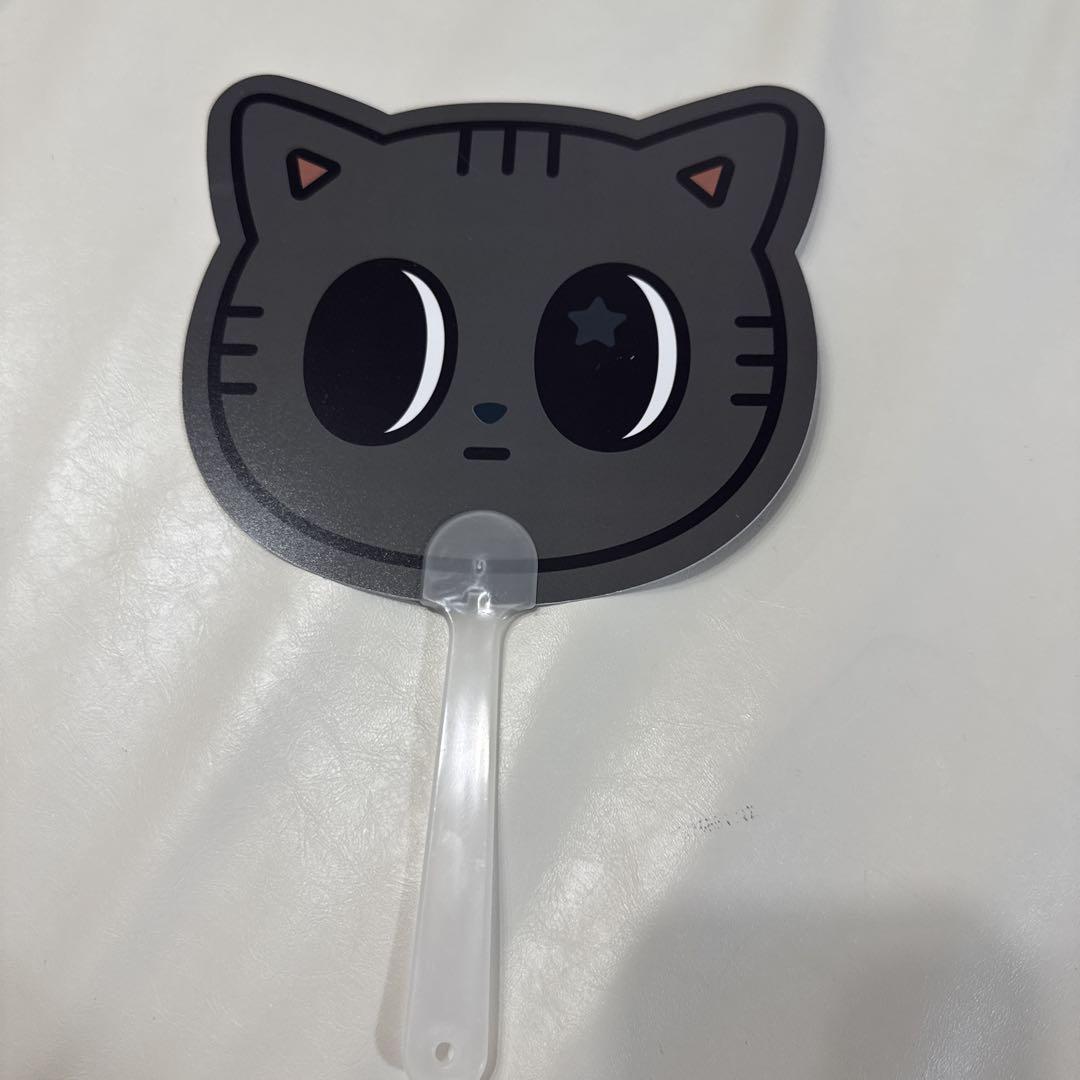 

[Б/У] TXT Официальный PPULBATU POPUP Веер Дагонян