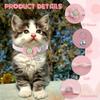 Detachable Cat Collar with Bell, Cute Buckle, Flower Adjustable, Suitable for Cats, Dogs Small Pets. Creative Interesting Items