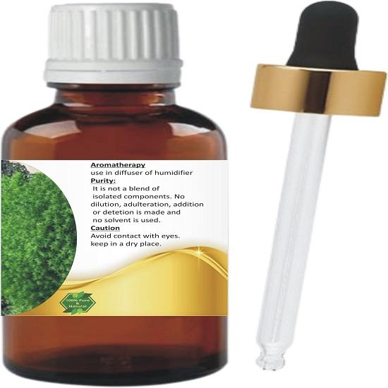Levenmooi Savory Winter (Montana) (Satureja Montana) Pure & Natural Therapeutic Grade Essential Oil Glass