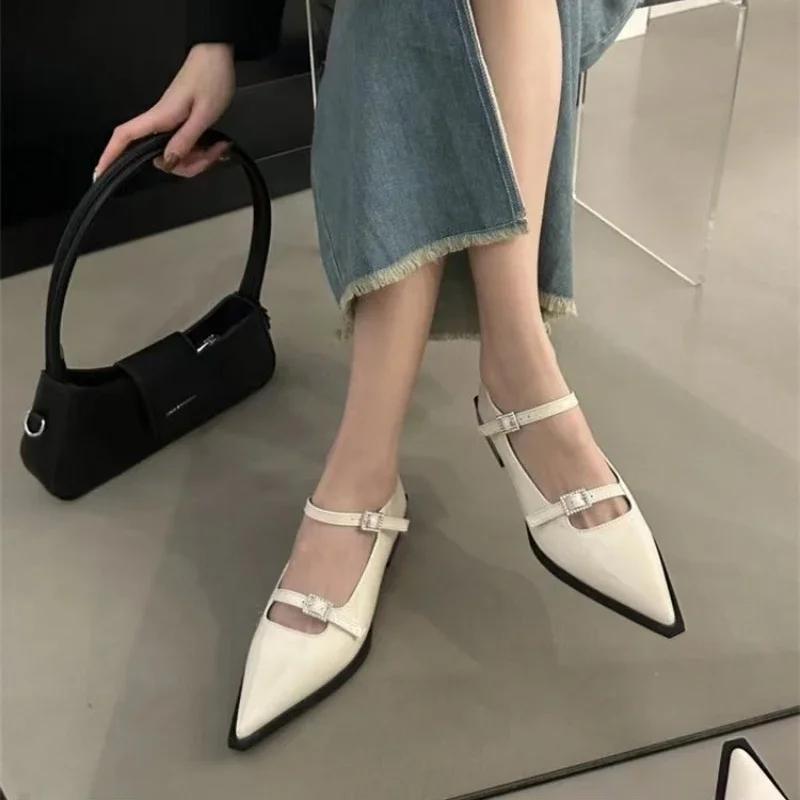 2024 Autumn Pointed Toe Women Shoes Elegant Ladies Flat Heels Mary Jane Footwear Casual Loafers Shallow Ballerinas Retro Shoes