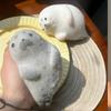 Cute Squishy Seal Squeeze Toys Super Soft Pinching Fingertip Toy Slow Rebound Antistress Gift Stress Relief Adult Sensory Toy