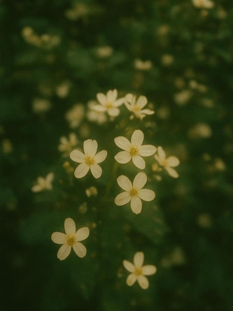 Fujifilm Utsurundesu 27-Exposure Disposable Instant Camera, Standard Type, with 4-Piece Accessory Set: Neck Strap, Arm Strap, Lens Cleaner, and Dry