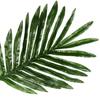 12Pcs Artificial Leaves Plastic Faux Cycad Leaves Dining Table Decor Fake Cycad