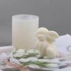 Roztomilé zvíře Kreativní tvar Silikonová forma Ručně vyrobený Sedící králík Pečení Forma na dort DIY Vonná svíčka Sedící králík DIY Nástroje