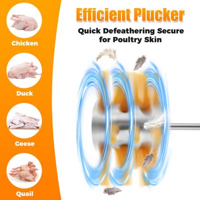 Plumeuse à Volaille en Acier Inoxydable Gain de Temps Machine à Plumer le Poulet Solide Machines Polyvalentes d'Épluchage de Volaille Plumage