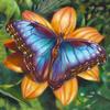 Diy 5D Diamond Painting Butterfly Flower Diamond Embroidery Cross Stitch Kit Mosaic Picture Home Decoration New Year Gift