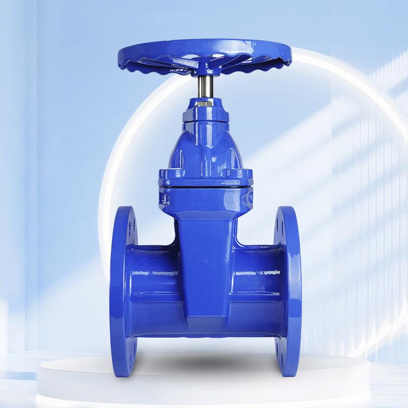 DN125 Flanged Soft Seal Open Stem Gate Valve