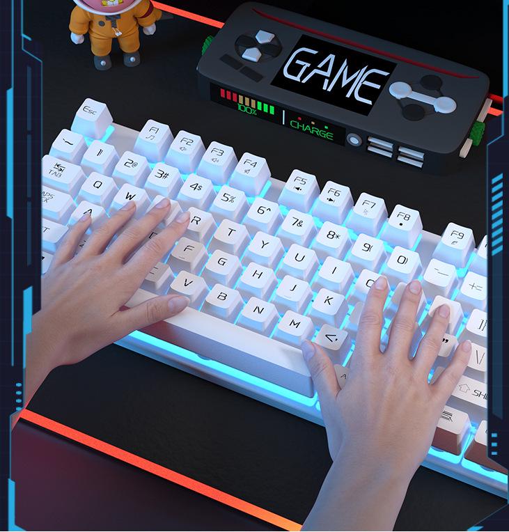 

Справжня механічна клавіатура та миша для кіберспорту з дротовим підключенням - Гарячий товар для ноутбука та настільного ПК