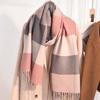 Scarf women's winter new imitation cashmere knitted color matching shawl trendy thickened warm versatile long scarf