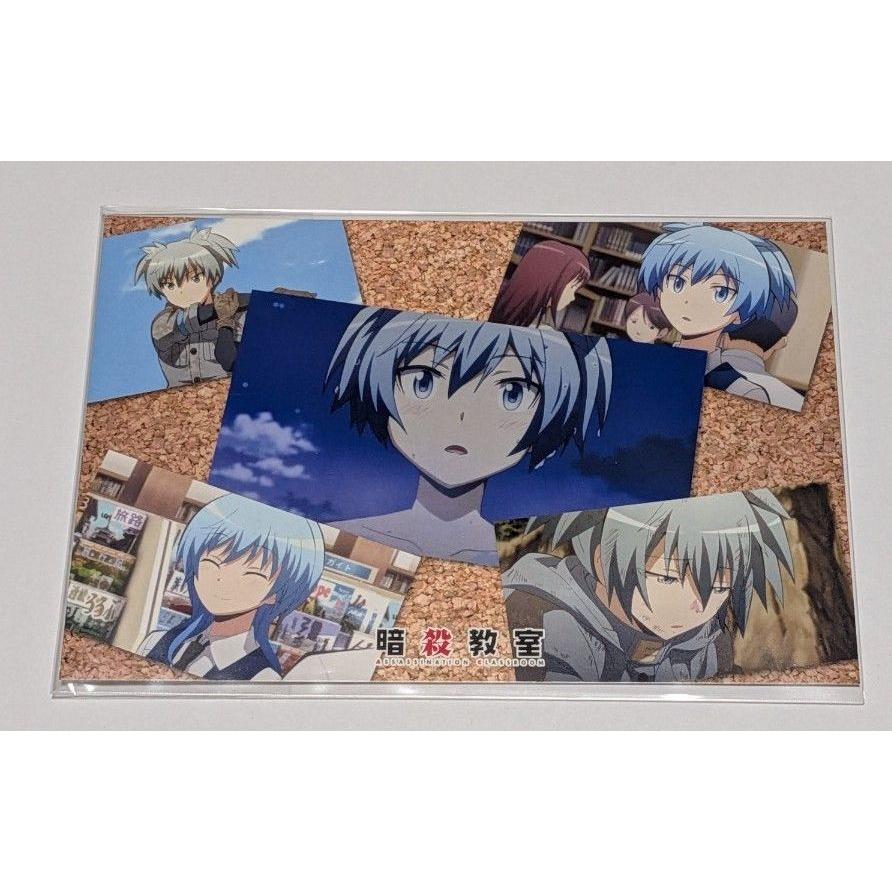 Used Assassination Classroom Diploma Style Postcard Nagisa Shiota Postcard