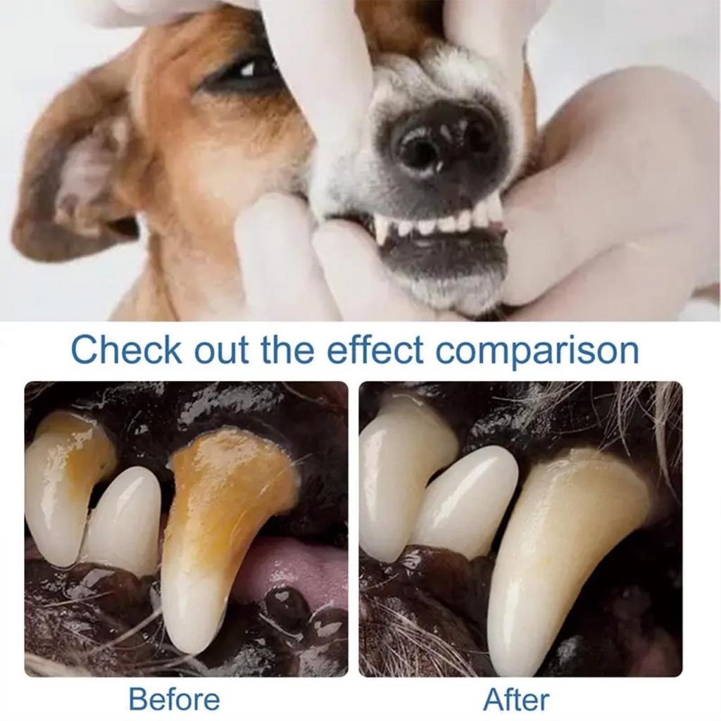 Pet tooth powder efficiently cleans the surface of teeth and helps maintain children's oral hygiene