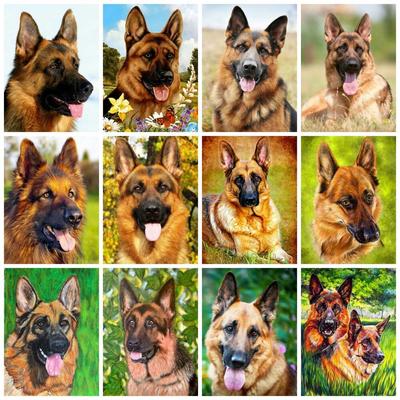 Diamantmaling Hund Schæferhund Full Firkantet/rund Diamantbroderi Mosaikk Dyr Hjemmedekor