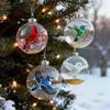 Ornament Nature's Birds Clear Christmas , Hummingbird Christmas Tree Ornaments for Xmas Decor, Clear Balls for Home Decor