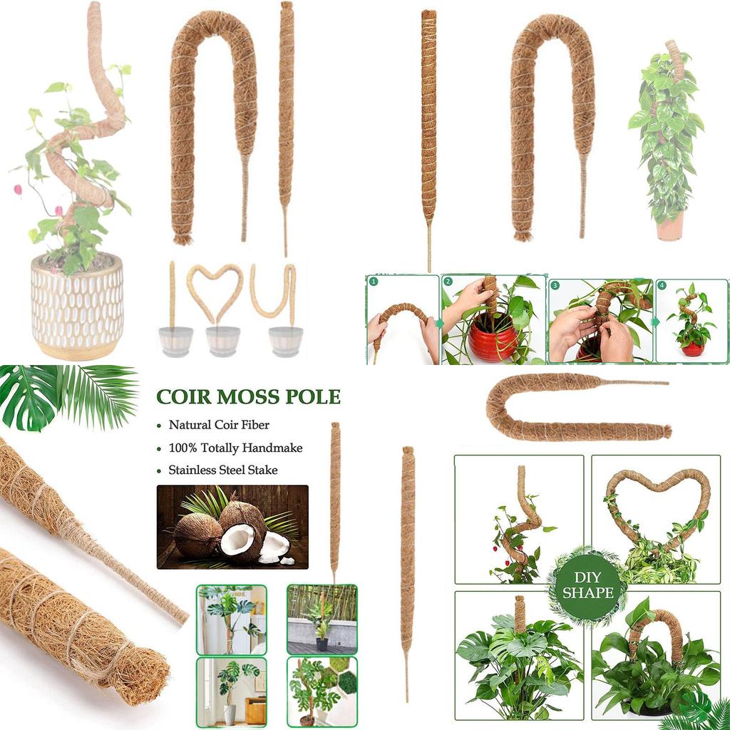Premium Quality Coconut Shell Plant Climbing Pole 60-120cm Length