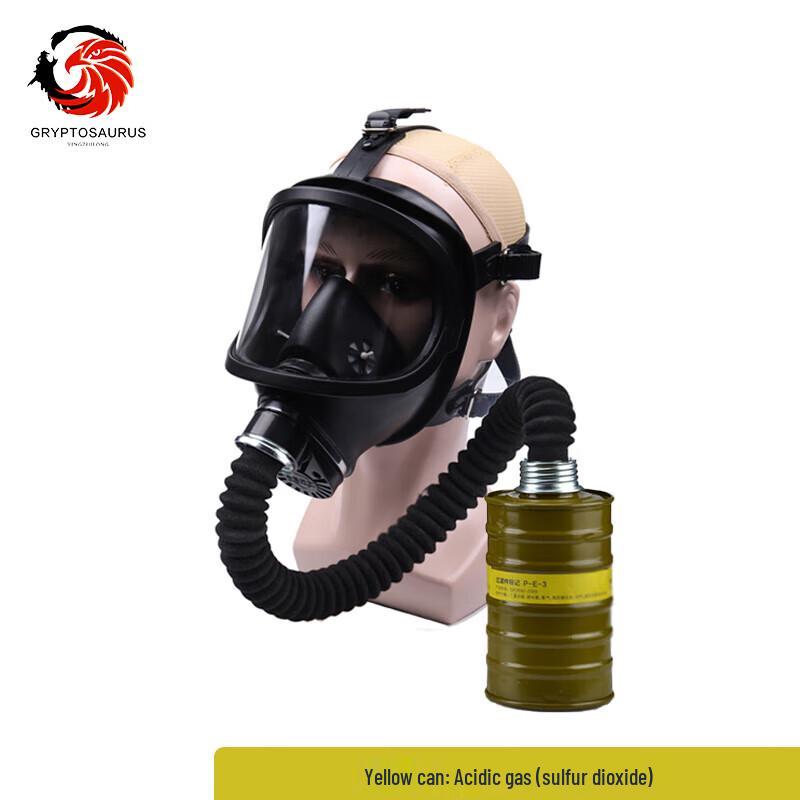 Yingzui Long MF14 Gas Mask Set