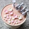 4 τεμάχια/παρτίδα Plum Blossom Plunger Fondant Molds Σετ κόφτη μπισκότων Σετ κέικ διακόσμησης DIY Εργαλείο αρτοποιίας