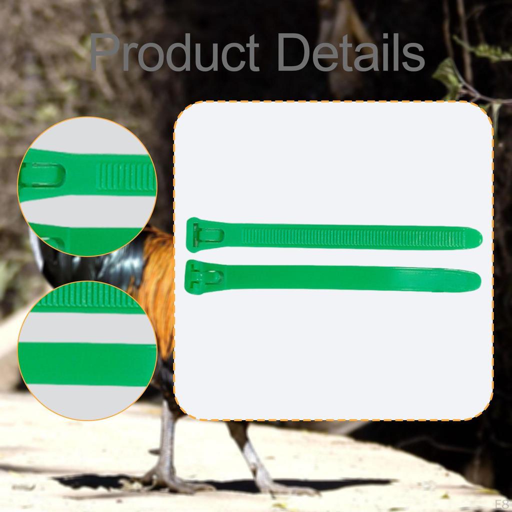 100 Pieces Numbered Chicken Leg Bands Tags Color Versatile Reusable Poultry Foot Rings for