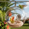 Ninho de Pássaro Transparente Esférico Resistente ao Desgaste Resistente à Mordida Ninho de Criação de Pássaros Confortável Hamster Suspenso Ninho Suprimentos para Animais de Estimação