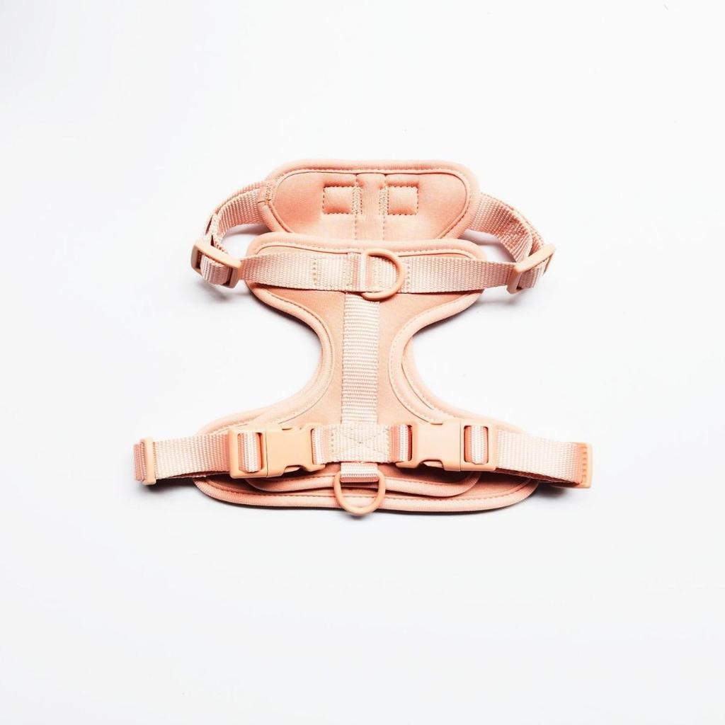 SpotWid Dog Chest & Back Bite-Proof Escape-Proof PVC Leash with Retractable Collar