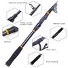 Fishing Rod and Reel Combo Carbon Telecopic Fishing Pole with Spinning Reel Saltwater Fishing Set