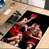 Slam Dunk Printed Carpet, for Office Chair Living Room Bedroom Kitchen Room Decor Gifts.