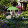 Umbrella for Garden Plants and Pots