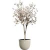 ELHO Pot de fleurs Sereh Rond 47 - Beige - Ø 47 x H 40 cm - 100% recyclé