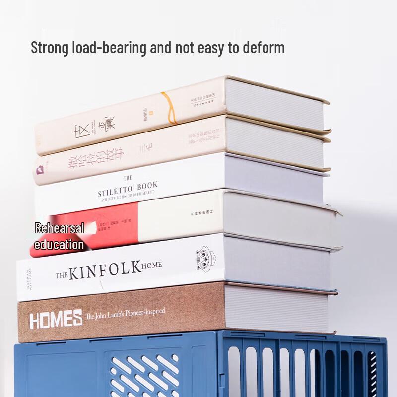 Lijiu Hong Standard Plastic File Holder