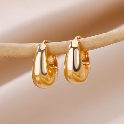 Vintage Stainless Steel Earrings for Women Minimalist Gold Color Earring Trendy Designer Zircon Accessories Free Gift Aretes