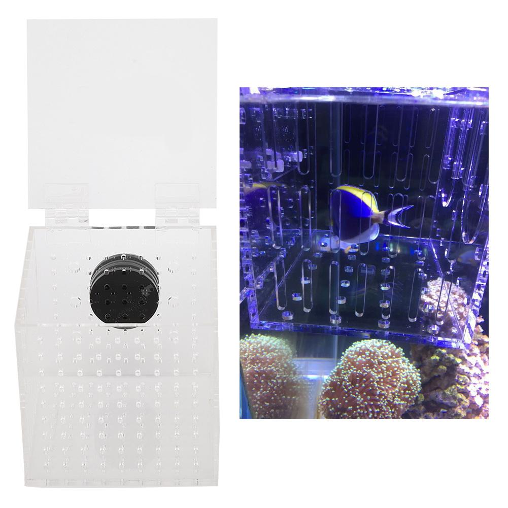 Acrylic Magnetic Aquarium Fish Breeding Isolation Box for Baby Fish Hatchery Incubator Cage