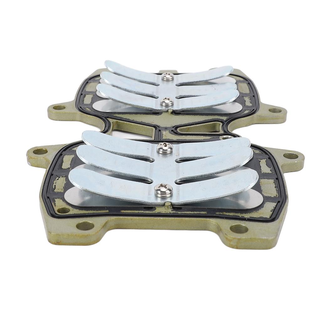 Reed Valve Assembly 66T 13610 00 Steel Alloy Marine Boat Motor Intake Reed Valve Assy Replacement for 40HP E40X 2